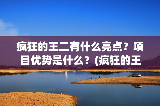 疯狂的王二有什么亮点？项目优势是什么？(疯狂的王二演员)