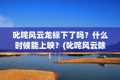 叱咤风云龙标下了吗？什么时候能上映？(叱咤风云除了龙还有谁)