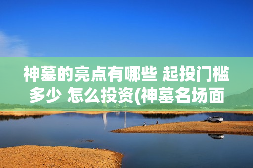 神墓的亮点有哪些 起投门槛多少 怎么投资(神墓名场面)