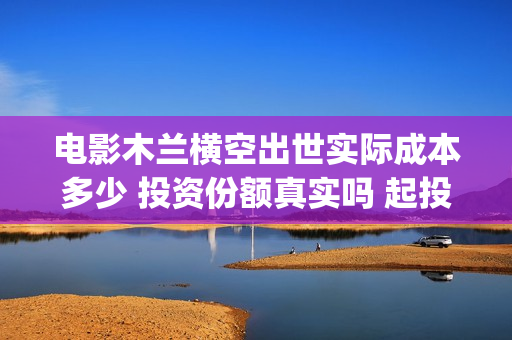 电影木兰横空出世实际成本多少 投资份额真实吗 起投多少(木兰横空出世 动画片)