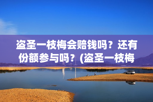 盗圣一枝梅会赔钱吗？还有份额参与吗？(盗圣一枝梅演员)