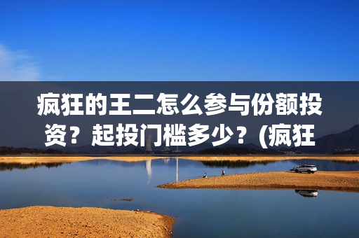 疯狂的王二怎么参与份额投资？起投门槛多少？(疯狂的王二怎么下载安装)