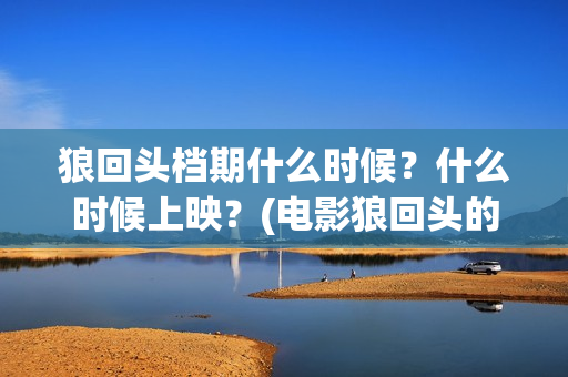 狼回头档期什么时候？什么时候上映？(电影狼回头的电影投资)