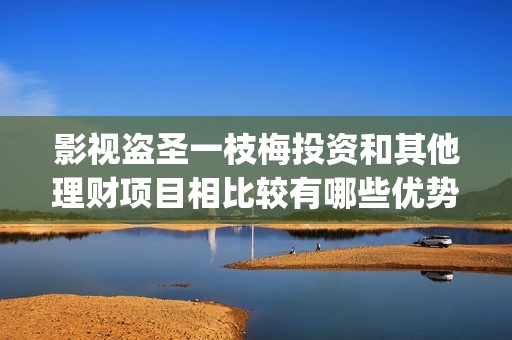 影视盗圣一枝梅投资和其他理财项目相比较有哪些优势？(盗圣一枝梅演员)