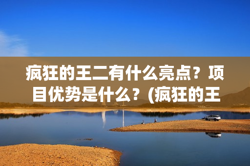 疯狂的王二有什么亮点？项目优势是什么？(疯狂的王二有什么好玩的)