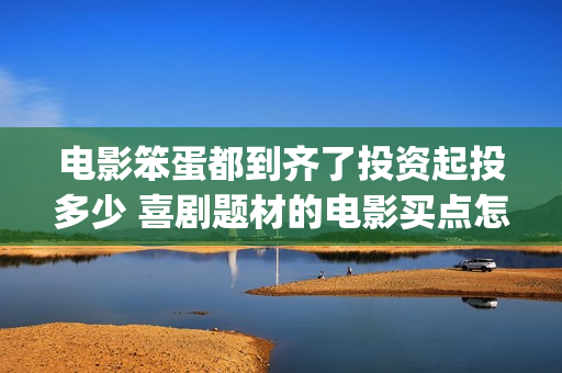 电影笨蛋都到齐了投资起投多少 喜剧题材的电影买点怎么样(笨蛋mv)