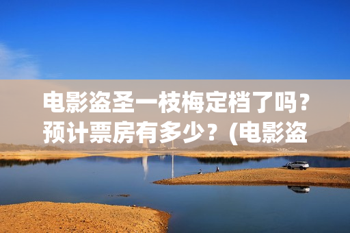 电影盗圣一枝梅定档了吗？预计票房有多少？(电影盗圣一枝梅简介)