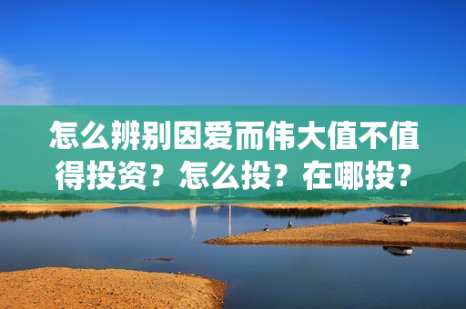 怎么辨别因爱而伟大值不值得投资？怎么投？在哪投？(因爱而爱)