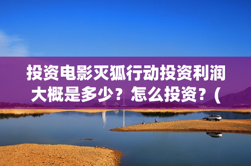 投资电影灭狐行动投资利润大概是多少？怎么投资？(电影灭狐行上上映时间)