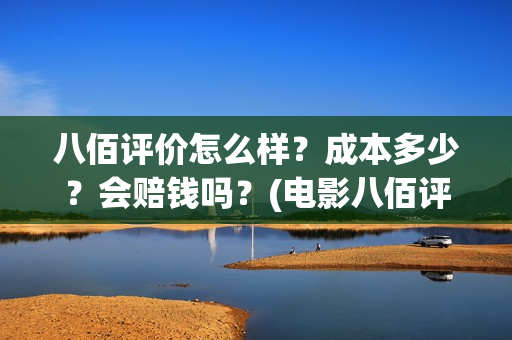 八佰评价怎么样？成本多少？会赔钱吗？(电影八佰评价如何)