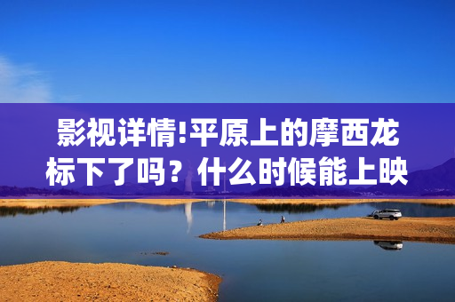 影视详情!平原上的摩西龙标下了吗？什么时候能上映？(平原百科)