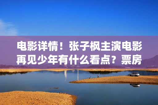 电影详情！张子枫主演电影再见少年有什么看点？票房竞争力怎样？(张子2017)
