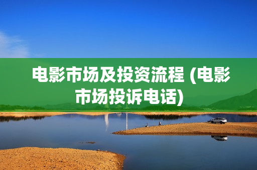  电影市场及投资流程 (电影市场投诉电话)
