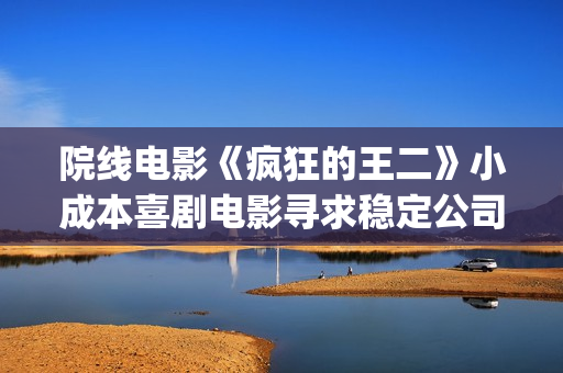 院线电影《疯狂的王二》小成本喜剧电影寻求稳定公司长期合作(电影:疯狂)