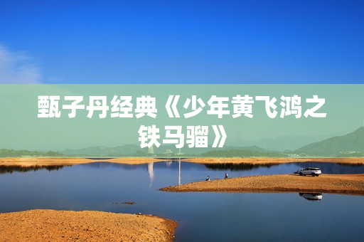 甄子丹经典《少年黄飞鸿之铁马骝》