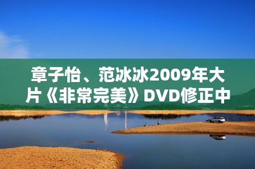 章子怡、范冰冰2009年大片《非常完美》DVD修正中字