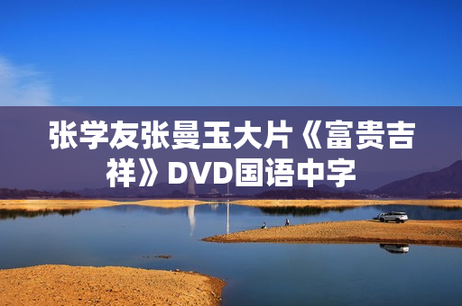 张学友张曼玉大片《富贵吉祥》DVD国语中字