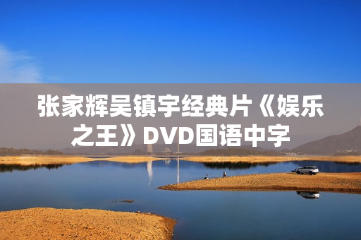 张家辉吴镇宇经典片《娱乐之王》DVD国语中字