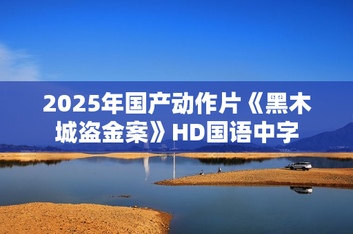 2025年国产动作片《黑木城盗金案》HD国语中字