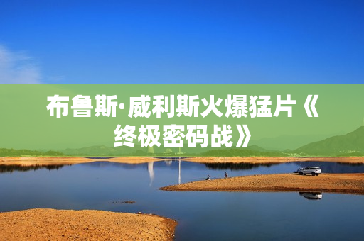 布鲁斯·威利斯火爆猛片《终极密码战》