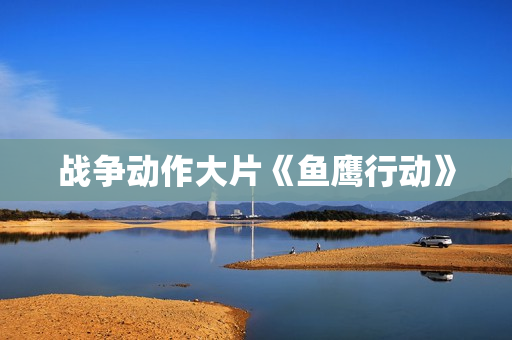 战争动作大片《鱼鹰行动》