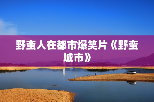 野蛮人在都市爆笑片《野蛮城市》