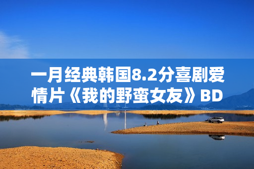 一月经典韩国8.2分喜剧爱情片《我的野蛮女友》BD双语中字