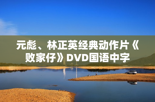 元彪、林正英经典动作片《败家仔》DVD国语中字