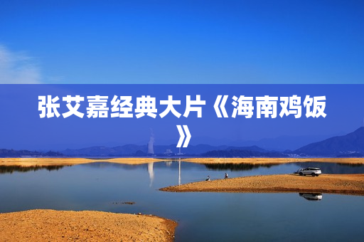 张艾嘉经典大片《海南鸡饭》