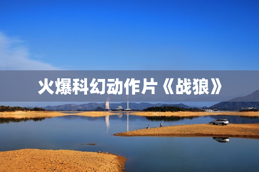 火爆科幻动作片《战狼》
