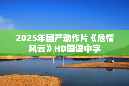 2025年国产动作片《危情风云》HD国语中字