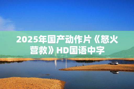 2025年国产动作片《怒火营救》HD国语中字