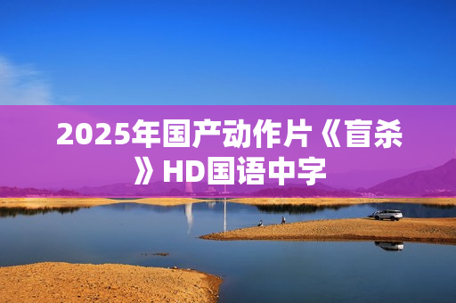 2025年国产动作片《盲杀》HD国语中字