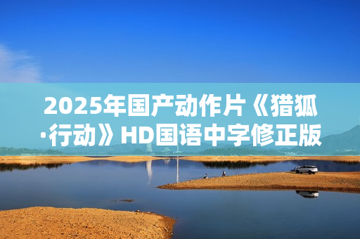 2025年国产动作片《猎狐·行动》HD国语中字修正版