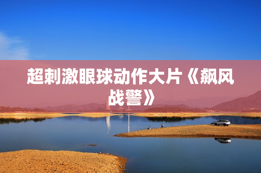 超刺激眼球动作大片《飙风战警》