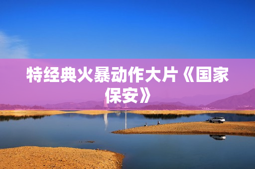 特经典火暴动作大片《国家保安》