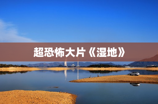 超恐怖大片《湿地》