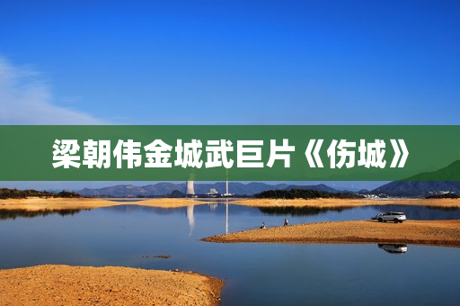 梁朝伟金城武巨片《伤城》