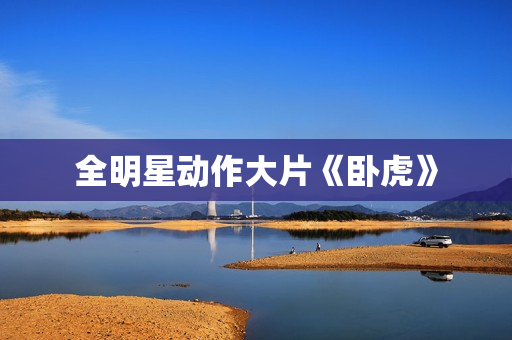 全明星动作大片《卧虎》