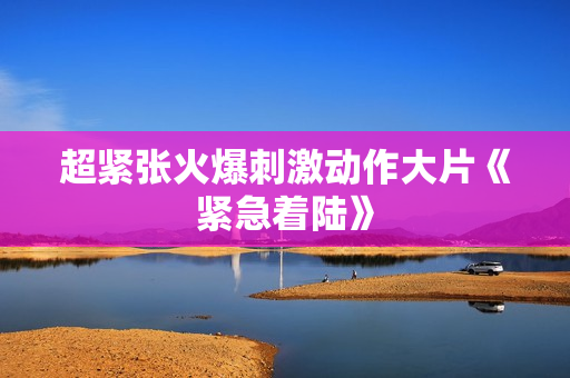 超紧张火爆刺激动作大片《紧急着陆》