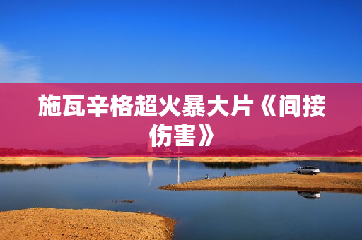 施瓦辛格超火暴大片《间接伤害》