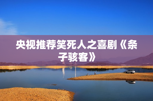央视推荐笑死人之喜剧《条子骇客》