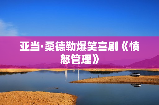 亚当·桑德勒爆笑喜剧《愤怒管理》
