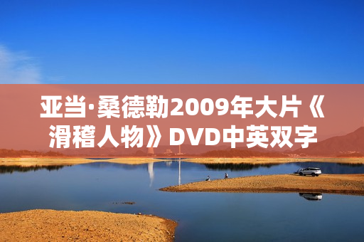 亚当·桑德勒2009年大片《滑稽人物》DVD中英双字