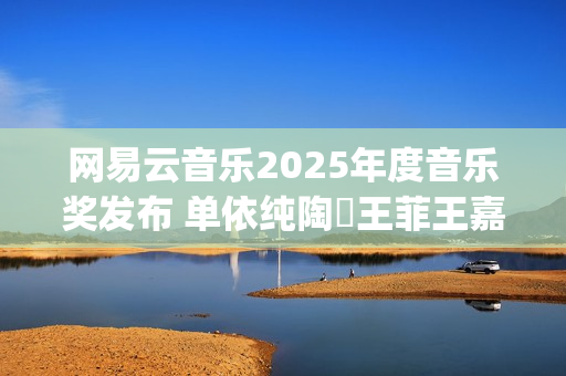 网易云音乐2025年度音乐奖发布 单依纯陶喆王菲王嘉尔汪苏泷杨丞琳梓渝等获奖(网易云音乐2025校招)