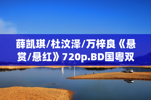 薛凯琪/杜汶泽/万梓良《悬赏/悬红》720p.BD国粤双语中字