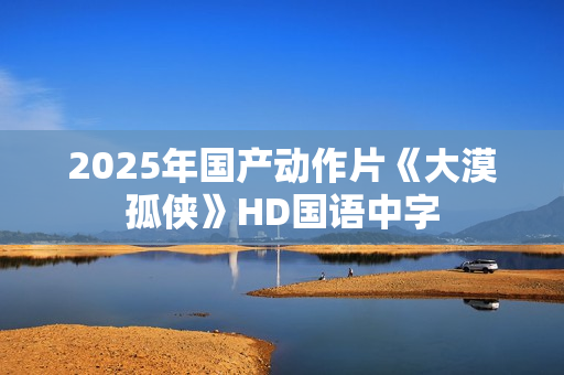2025年国产动作片《大漠孤侠》HD国语中字