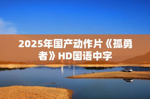2025年国产动作片《孤勇者》HD国语中字