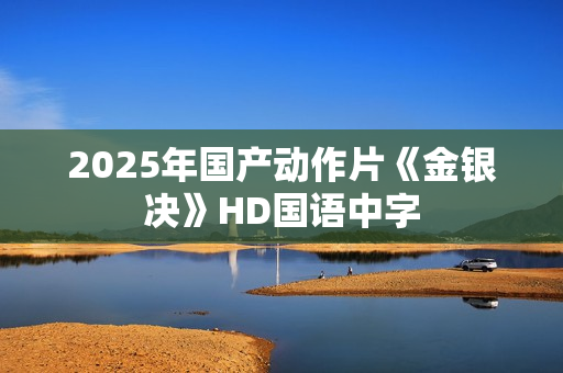2025年国产动作片《金银决》HD国语中字
