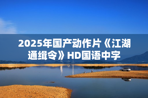 2025年国产动作片《江湖通缉令》HD国语中字